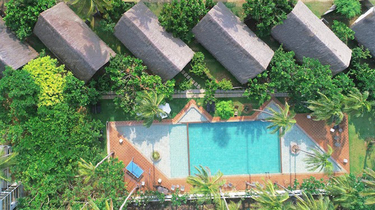 Blue Whale Resort, Kalpitiya