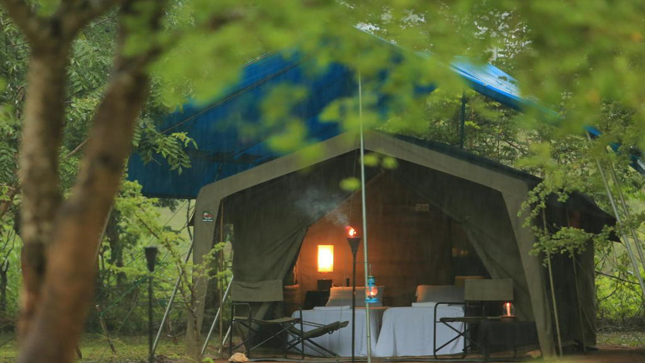 Big Game Camps and Lodges, Wilpattu