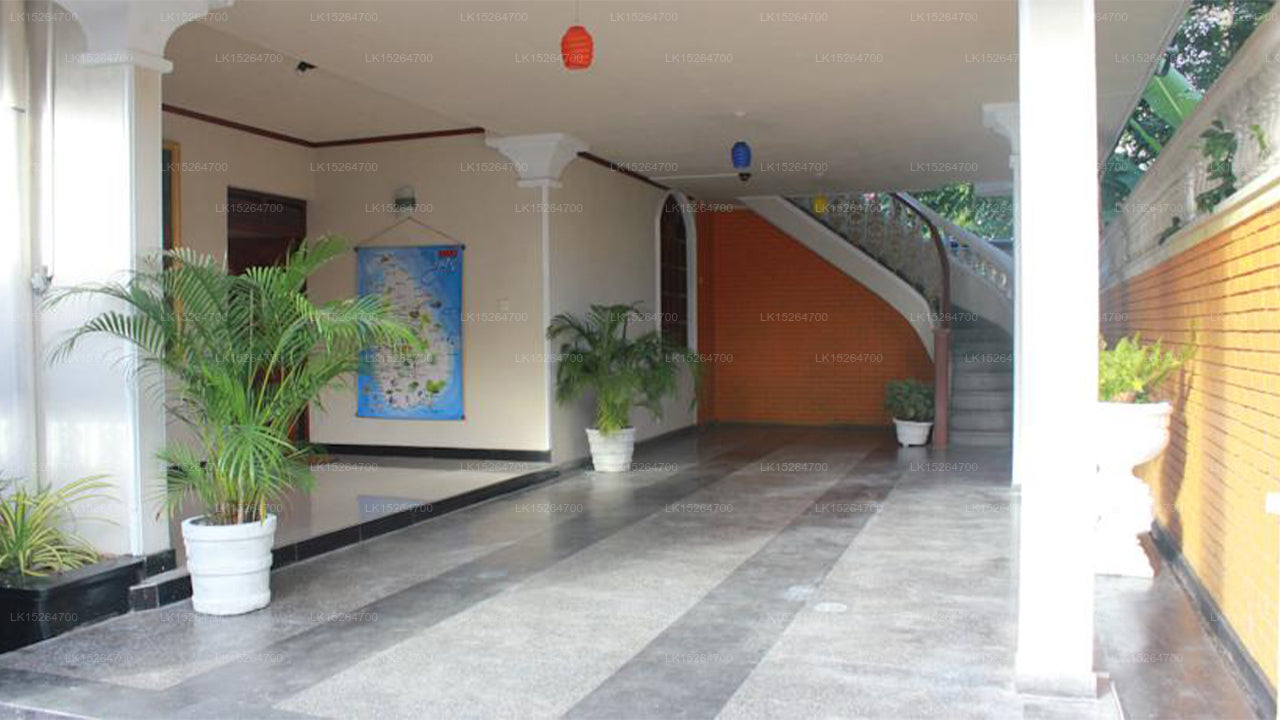 Guest Ryan, Katunayake