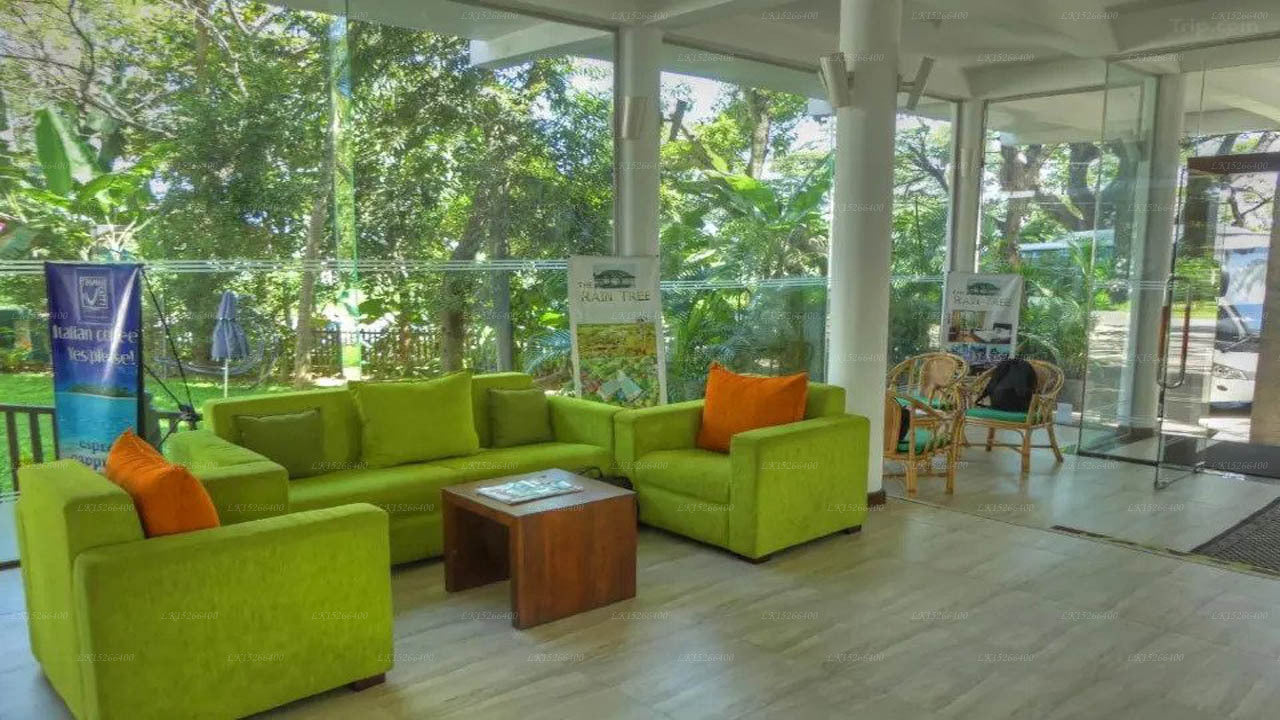 The Rain Tree, Tissamaharama