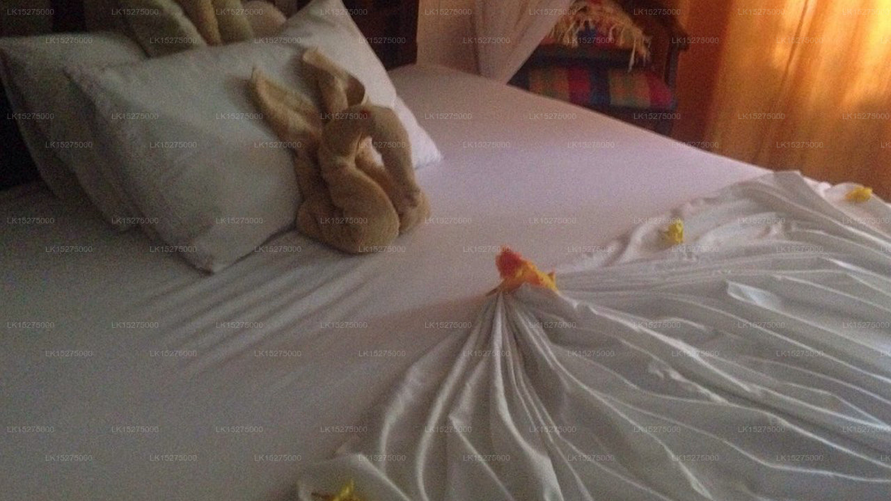 Canal Villa, Bentota