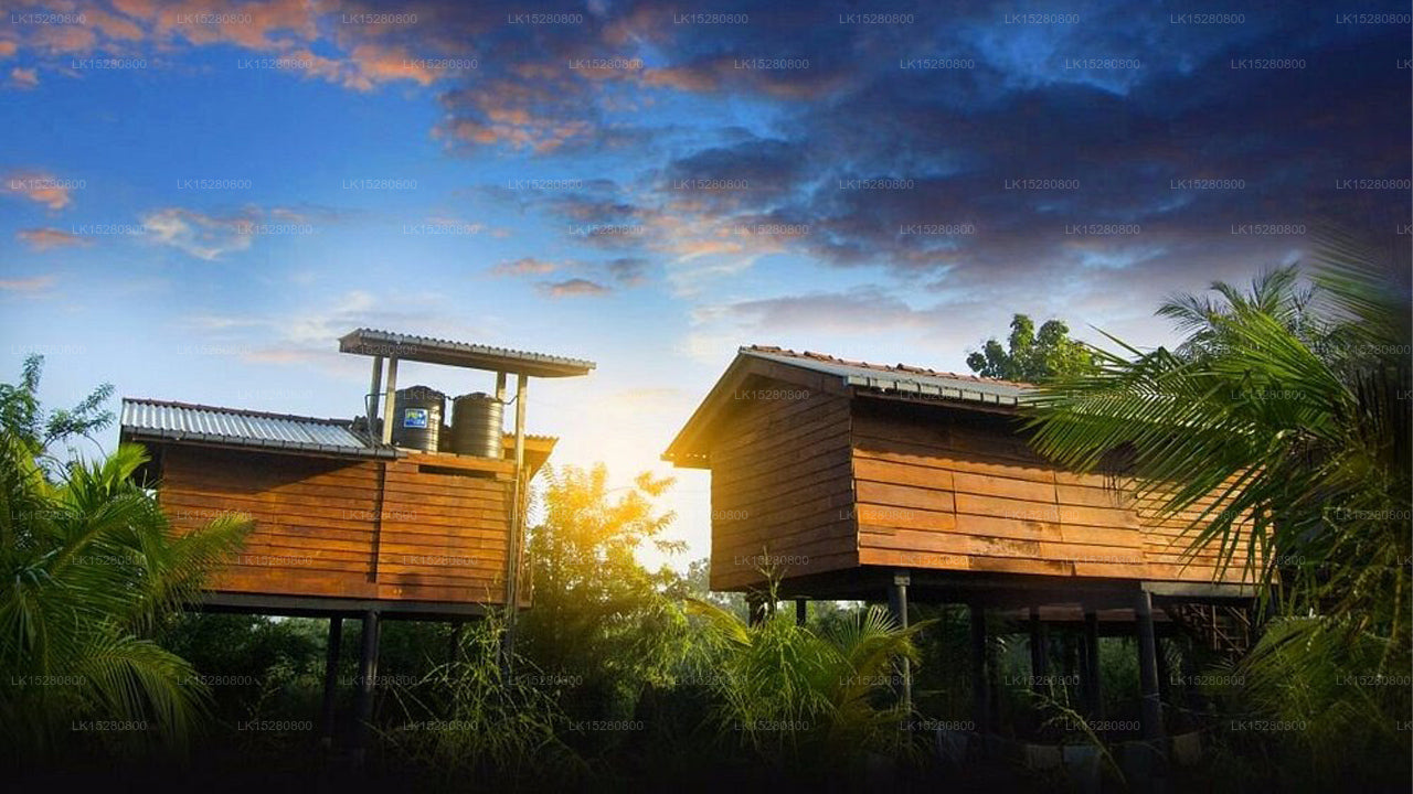 Sarilco Rock View Treehouse, Sigiriya