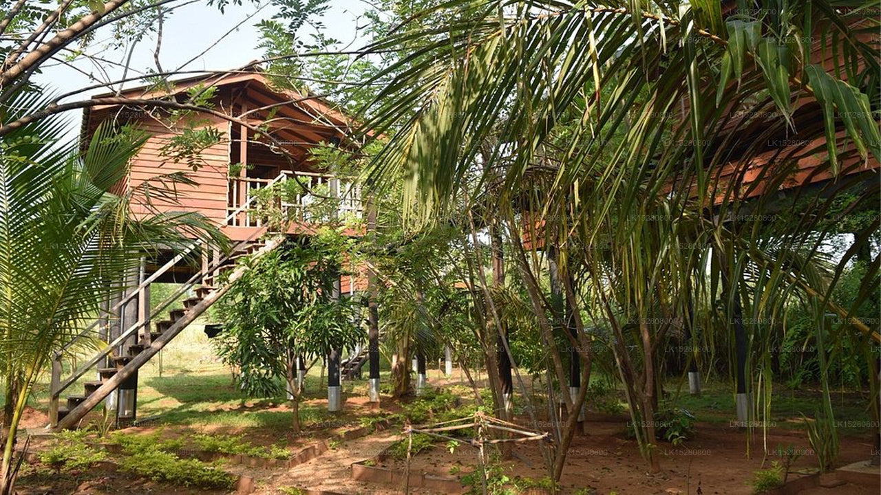 Sarilco Rock View Treehouse, Sigiriya