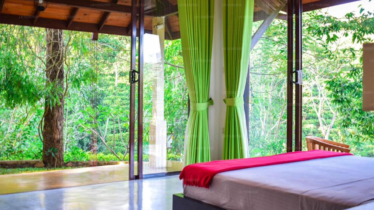 Hemingford, Pussellawa