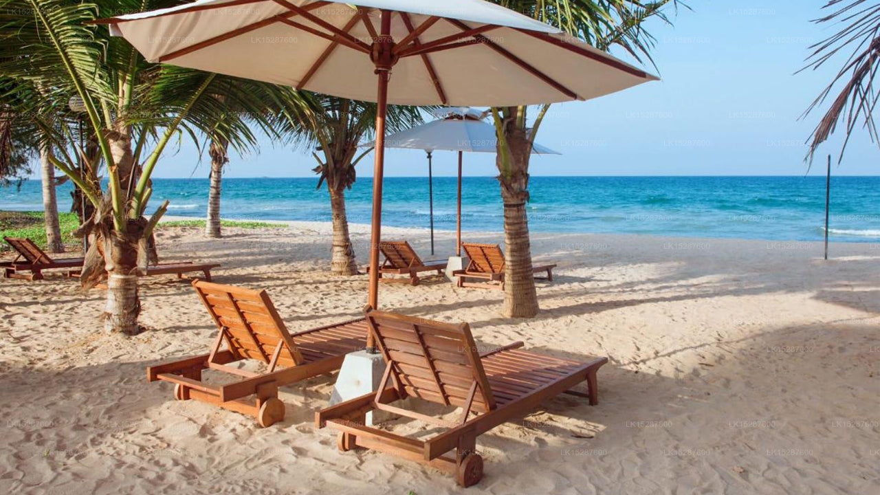 Cardamon Hotel, Nilaveli