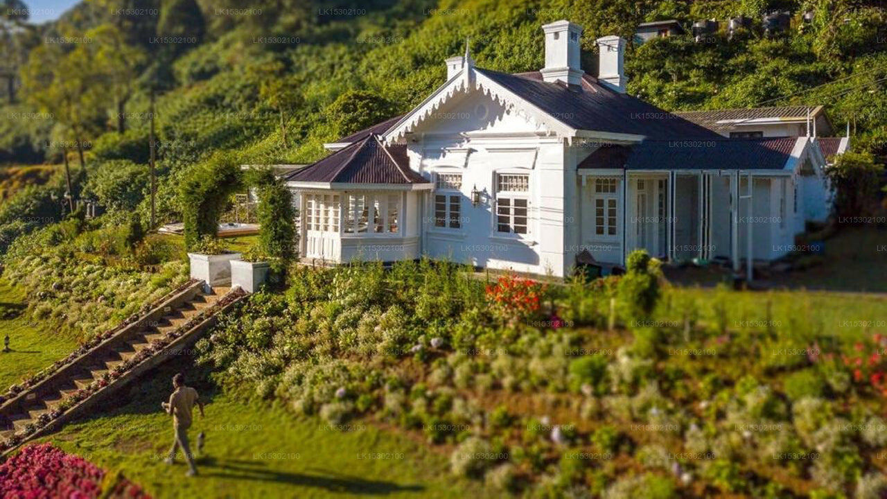 The Clovelly Bungalow, Nuwara Eliya