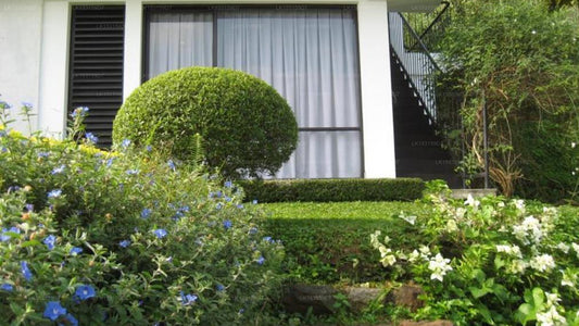 Zenith Home Stay, Matale