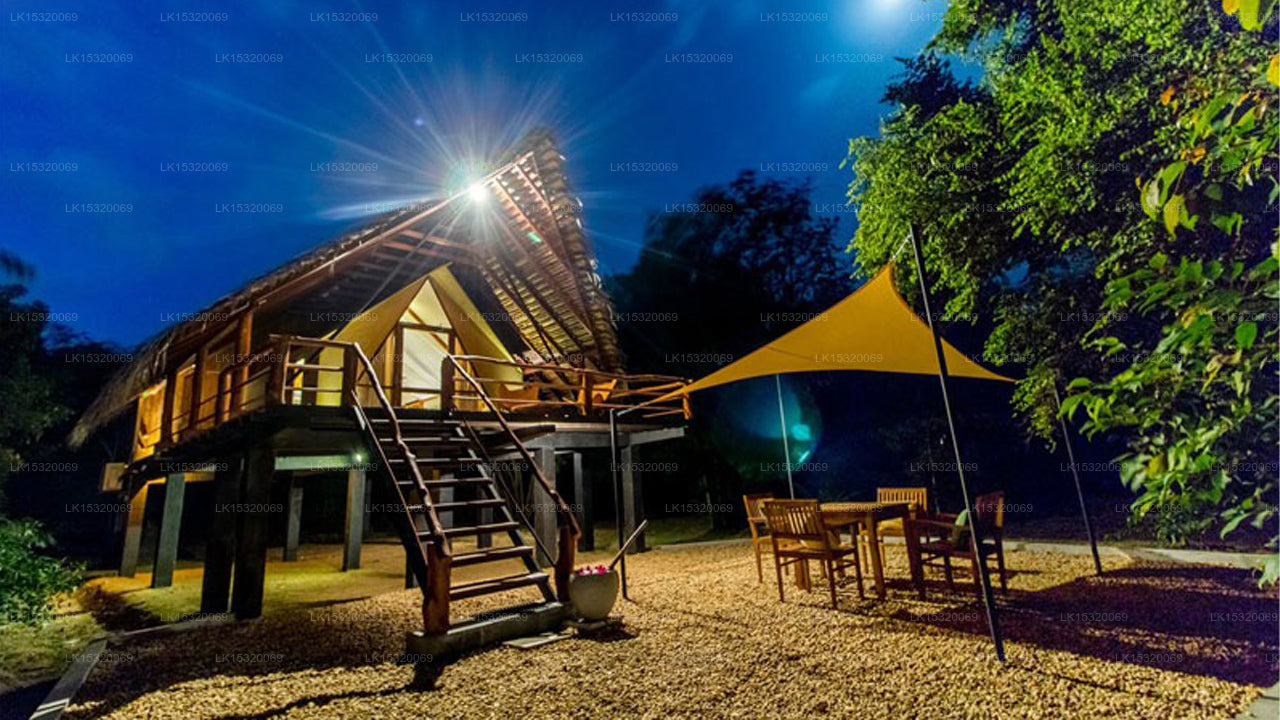 Ceylon Wilpattu Safaris & Lodging