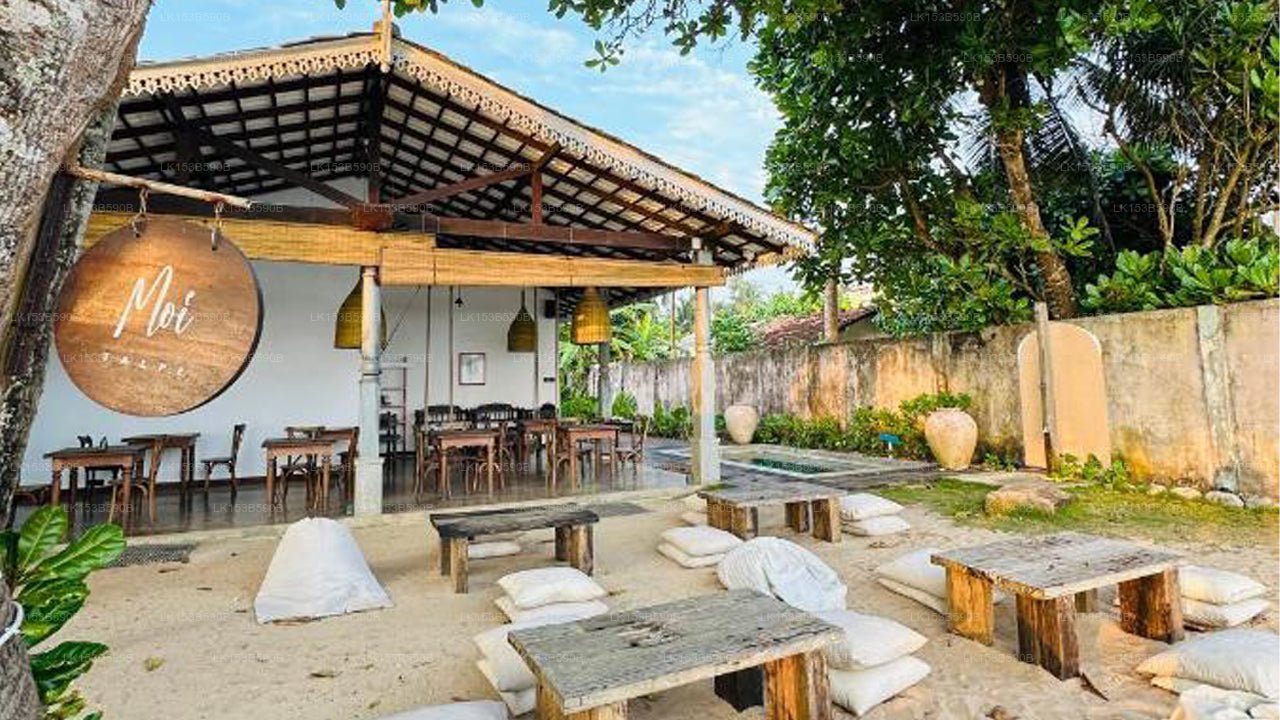 Moi Talpe by DBI, Talpe