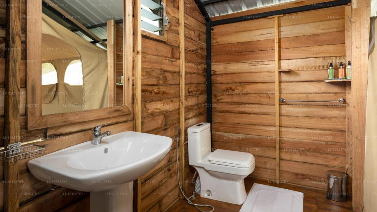 Wild Glamping Knuckles