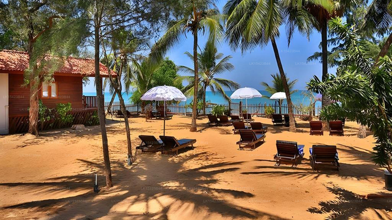 Arugambay PodBay, Arugam Bay