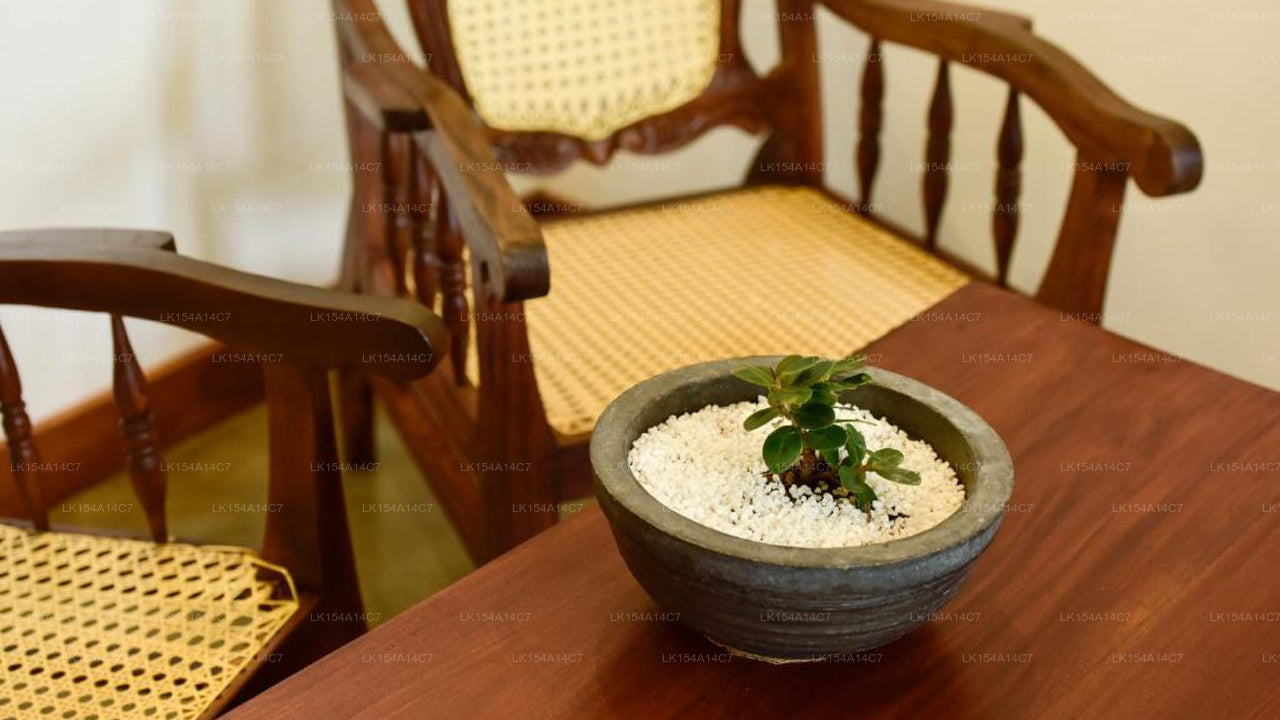 Lagune de Hiru, Negombo