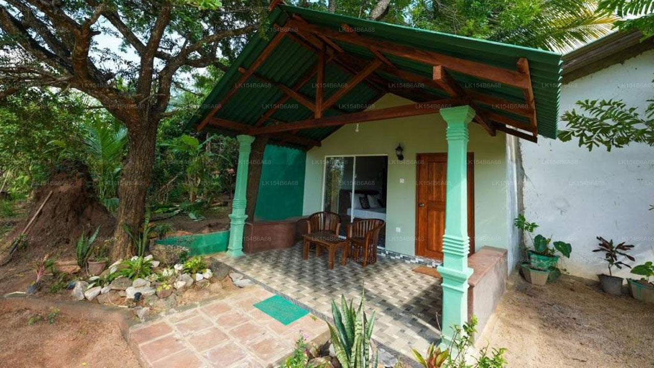 Sigiri Close-up View Guest, Sigiriya