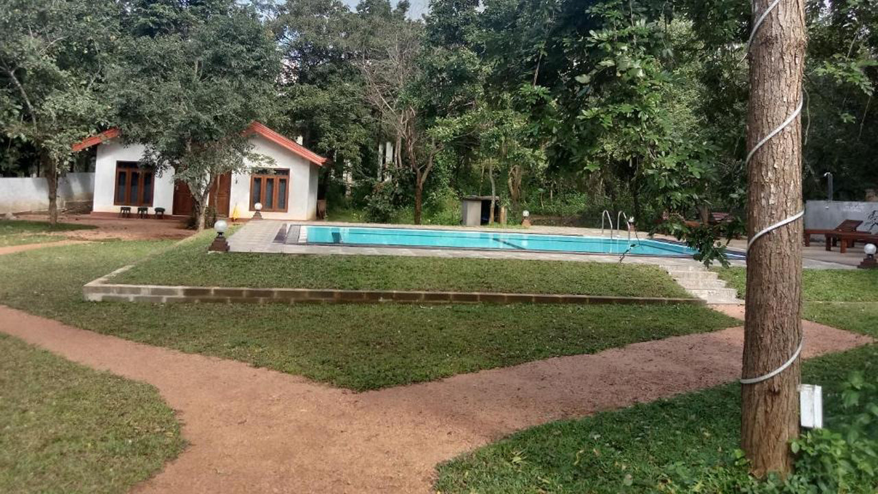 Lion King Jungle Cabanas, Sigiriya