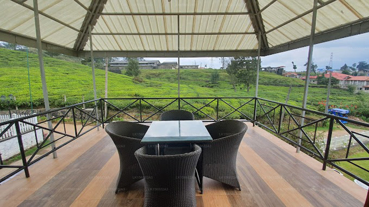 The Other Corner, Galaha