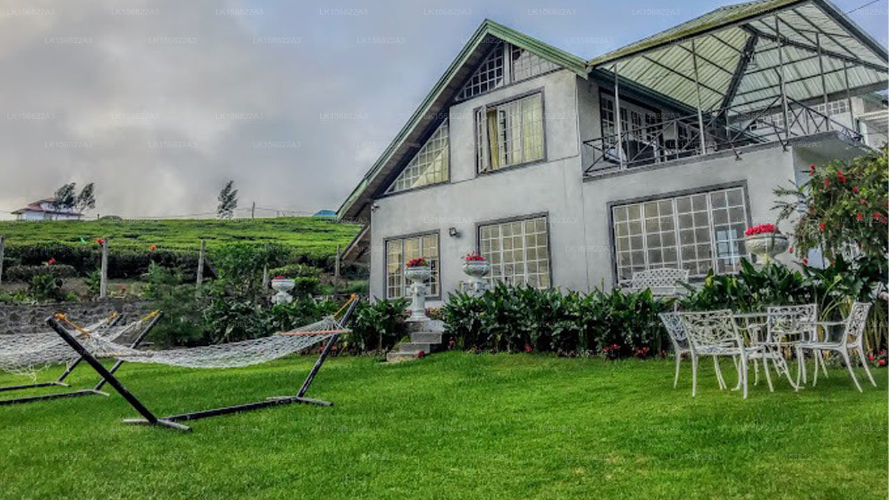 The Other Corner, Galaha