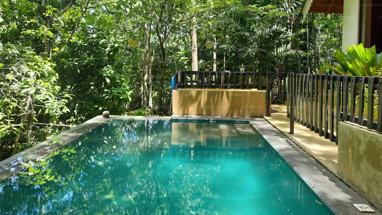 Citron Villa, Habaraduwa