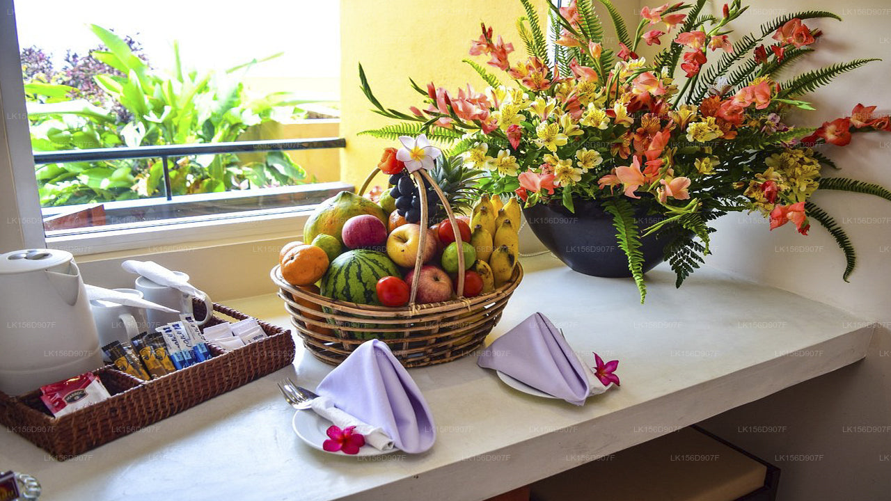 Fishermans Bay, Weligama