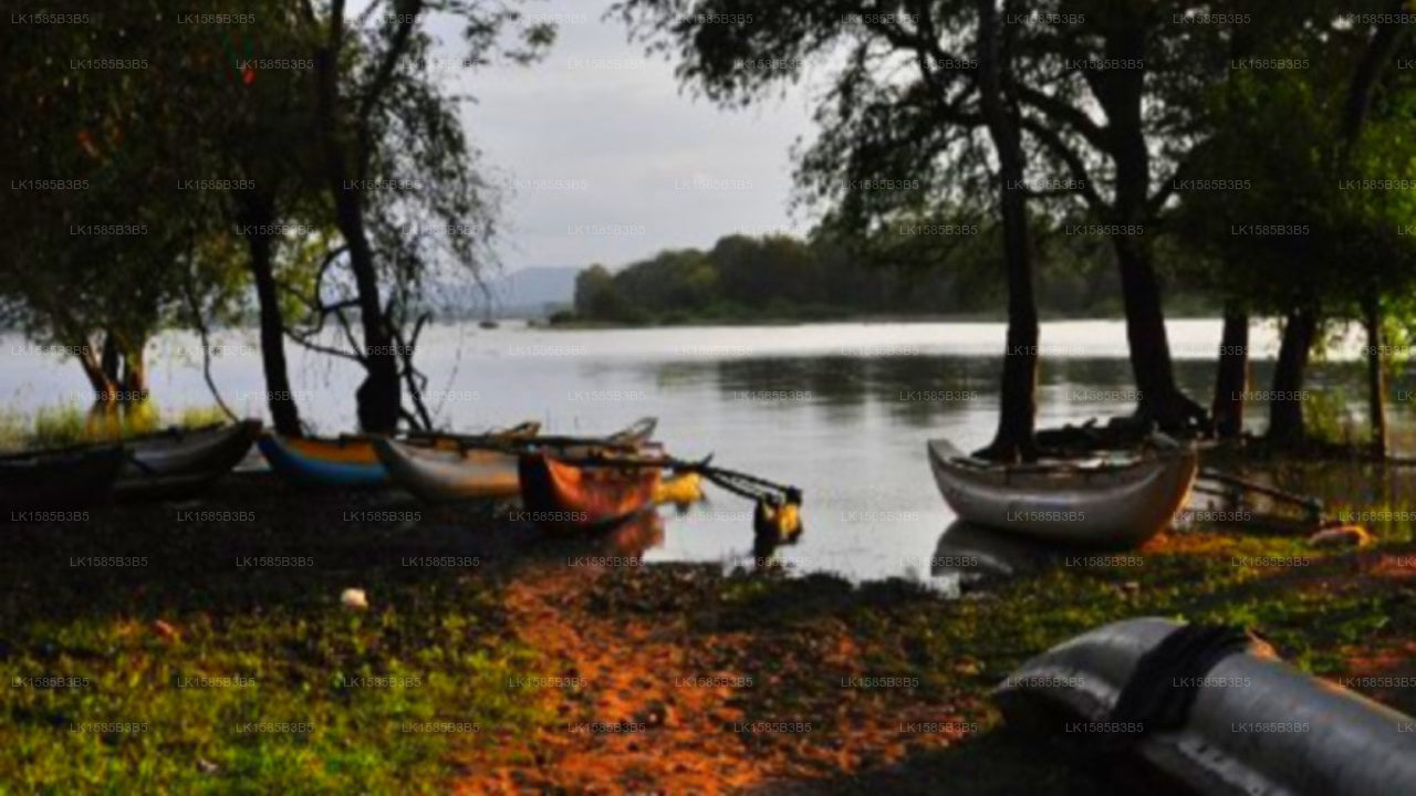 Ran Hiru Family Bungalow, Minneriya