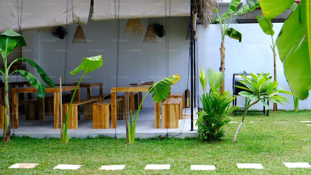 OASIA - Boutique Surf House, Weligama