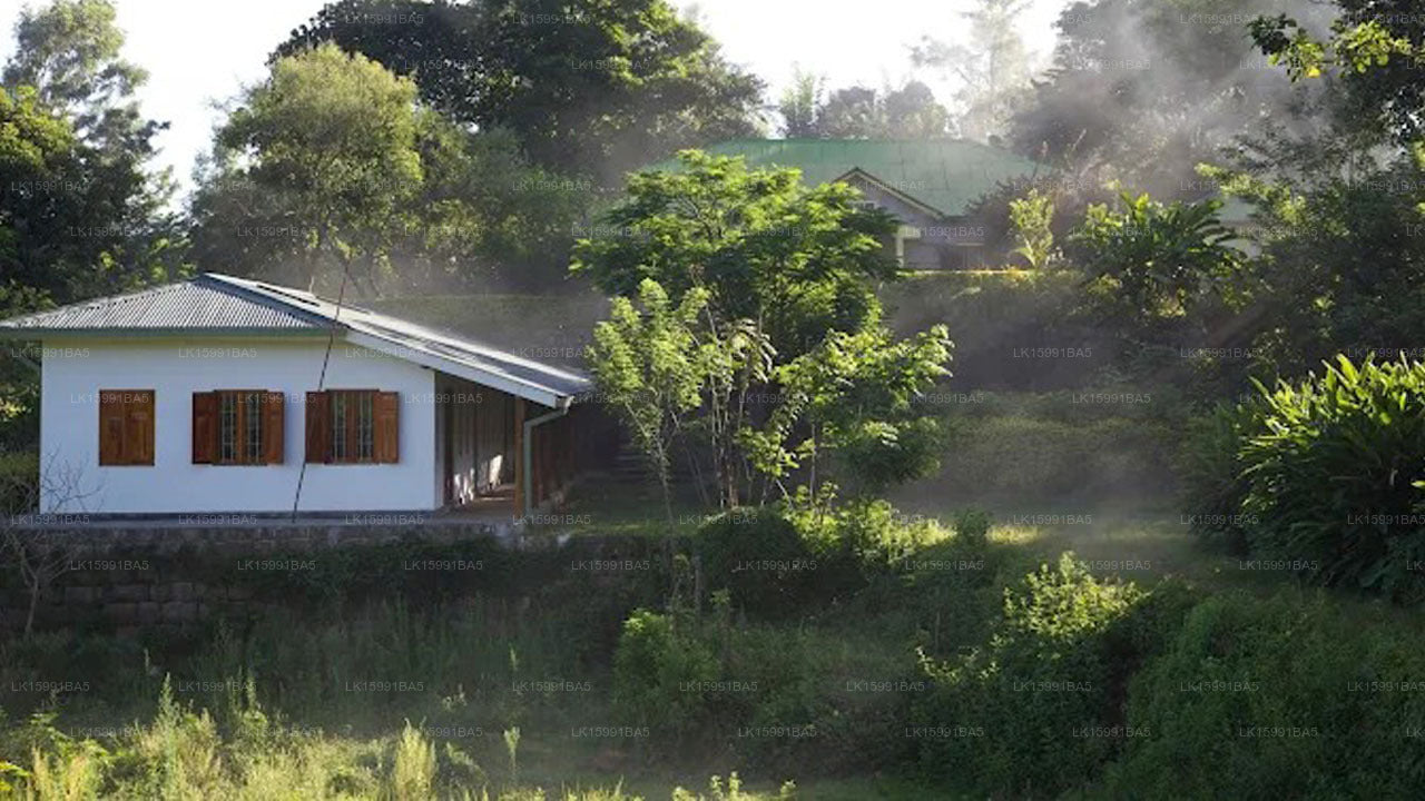 Amba Estate Farmstay, Ella