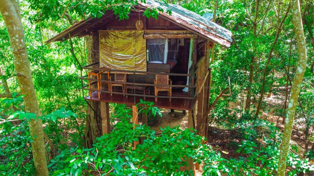 Jungle Host Hostel And Tree Housem, Sigiriya