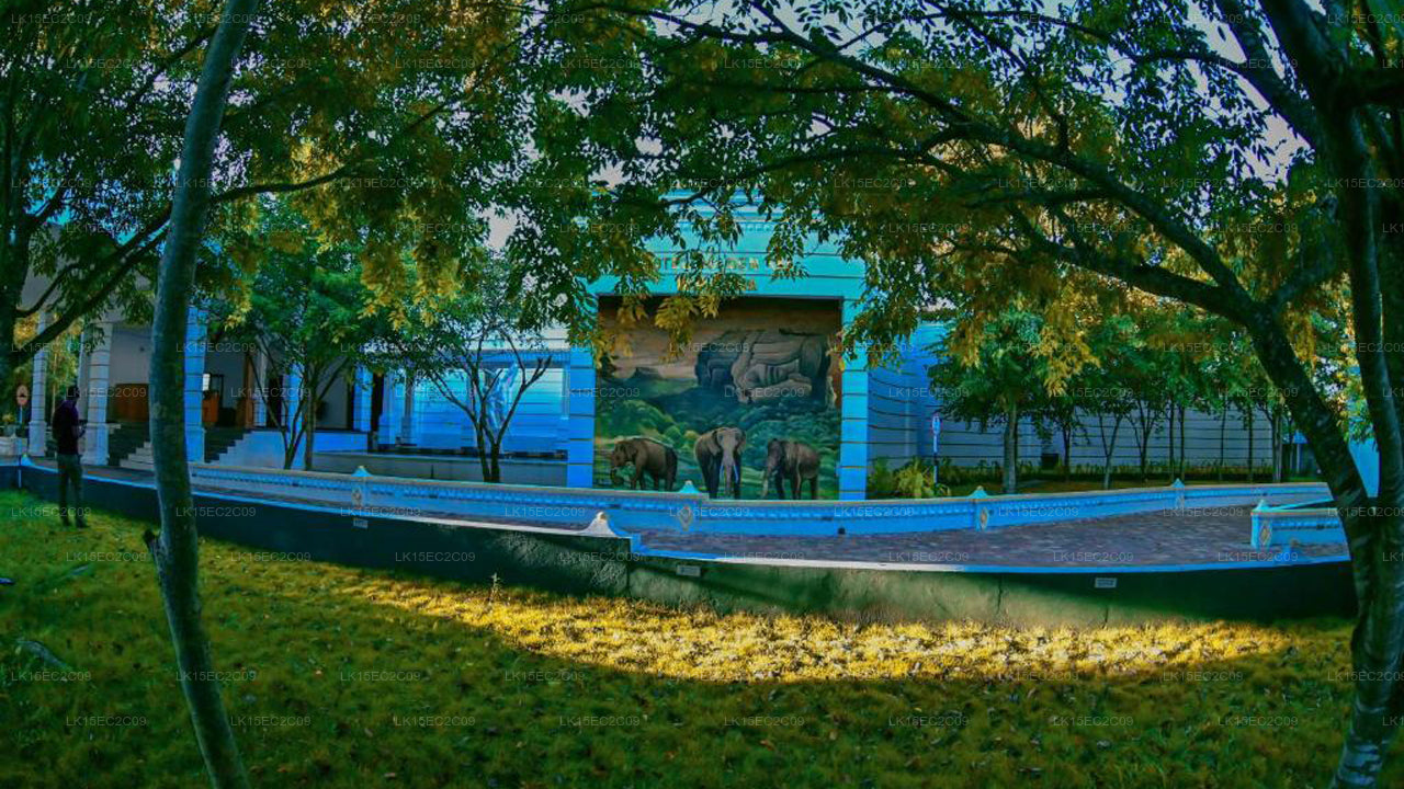 Hotel Golden Ray, Dambulla