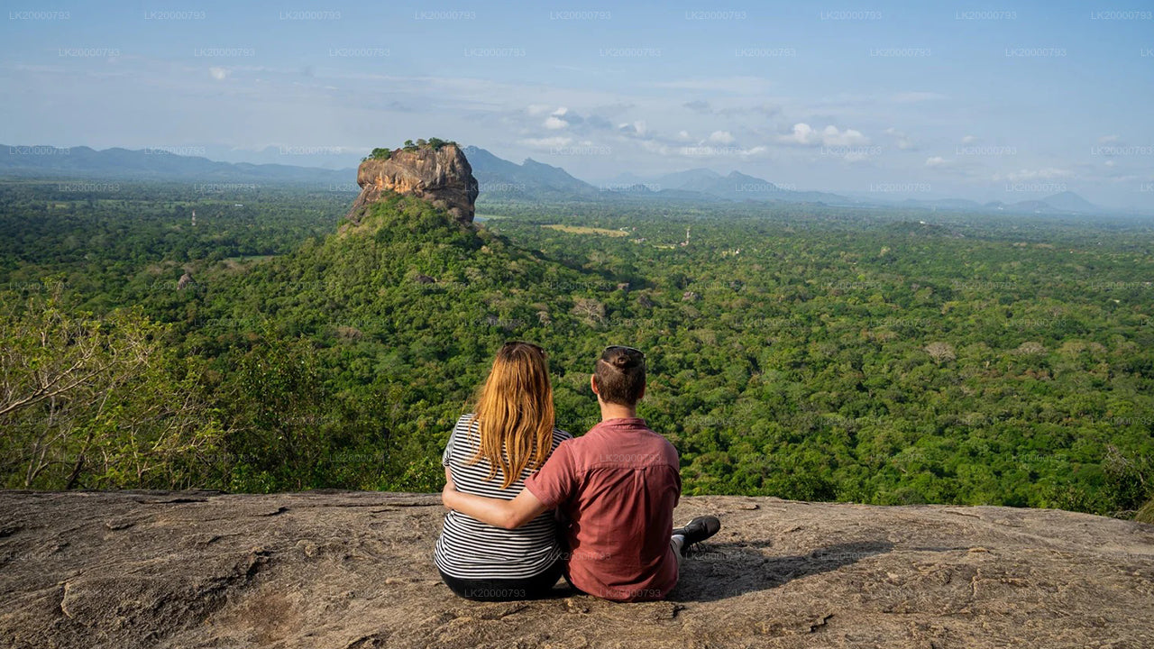 Visite guidée de Pidurangala avec billets d'entrée