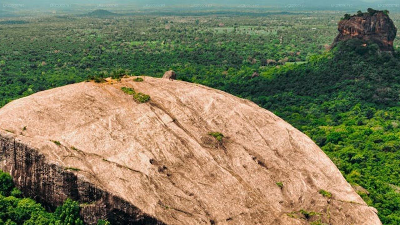Visite guidée de Pidurangala avec billets d'entrée