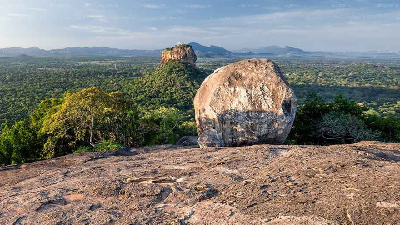 Visite guidée de Pidurangala avec billets d'entrée
