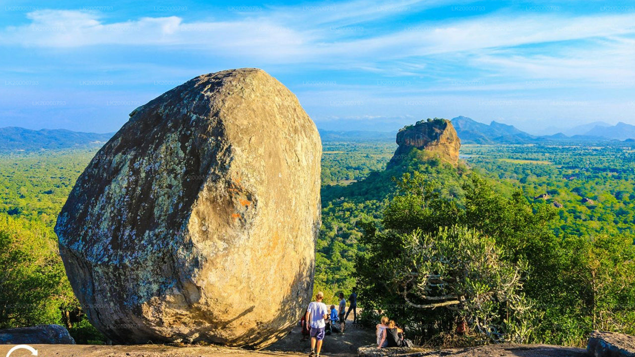 Visite guidée de Pidurangala avec billets d'entrée