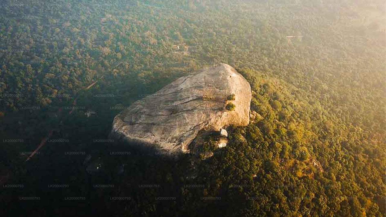 Visite guidée de Pidurangala avec billets d'entrée