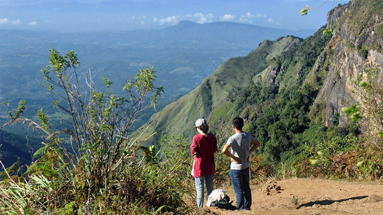 Visite guidée du parc national d'Horton Plains avec billets d'entrée