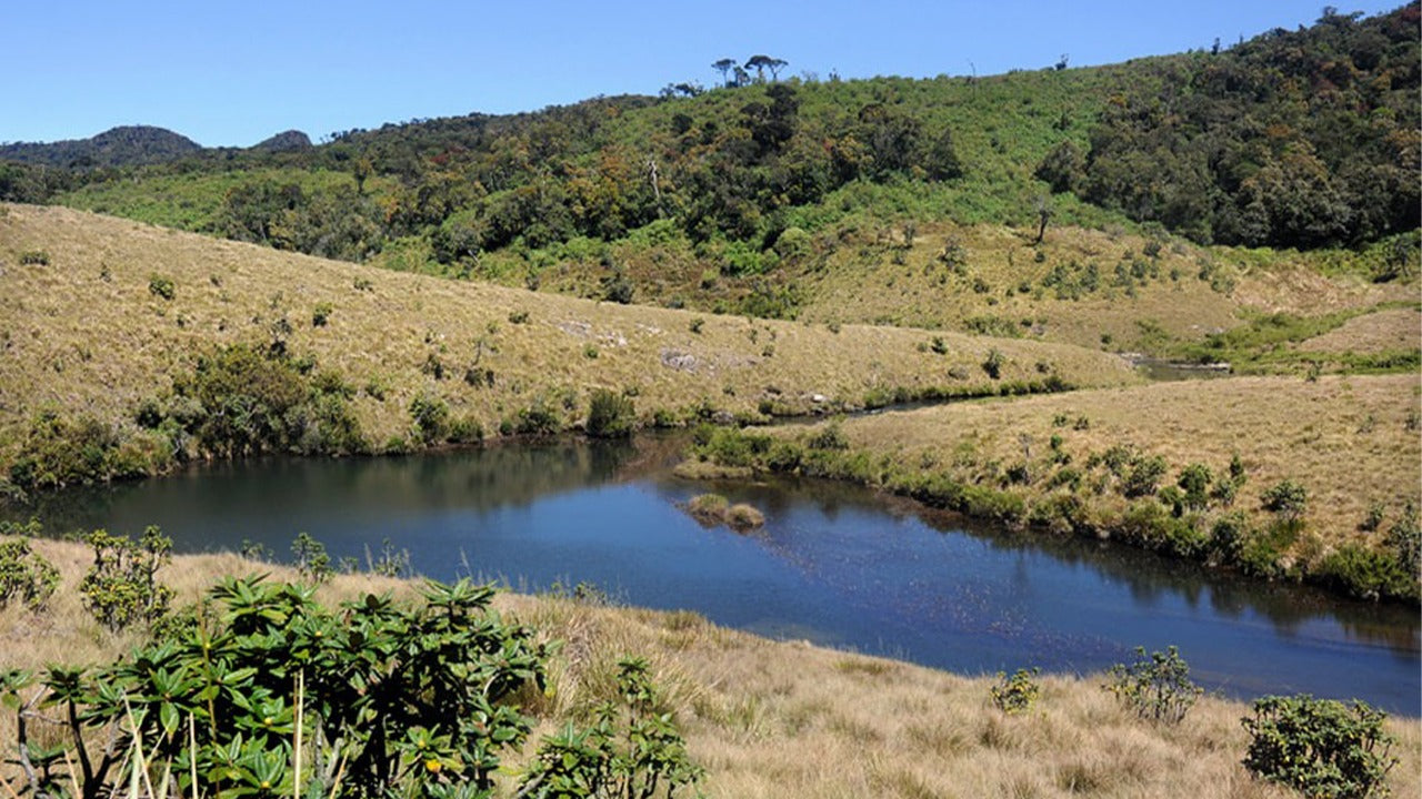Visite guidée du parc national d'Horton Plains avec billets d'entrée