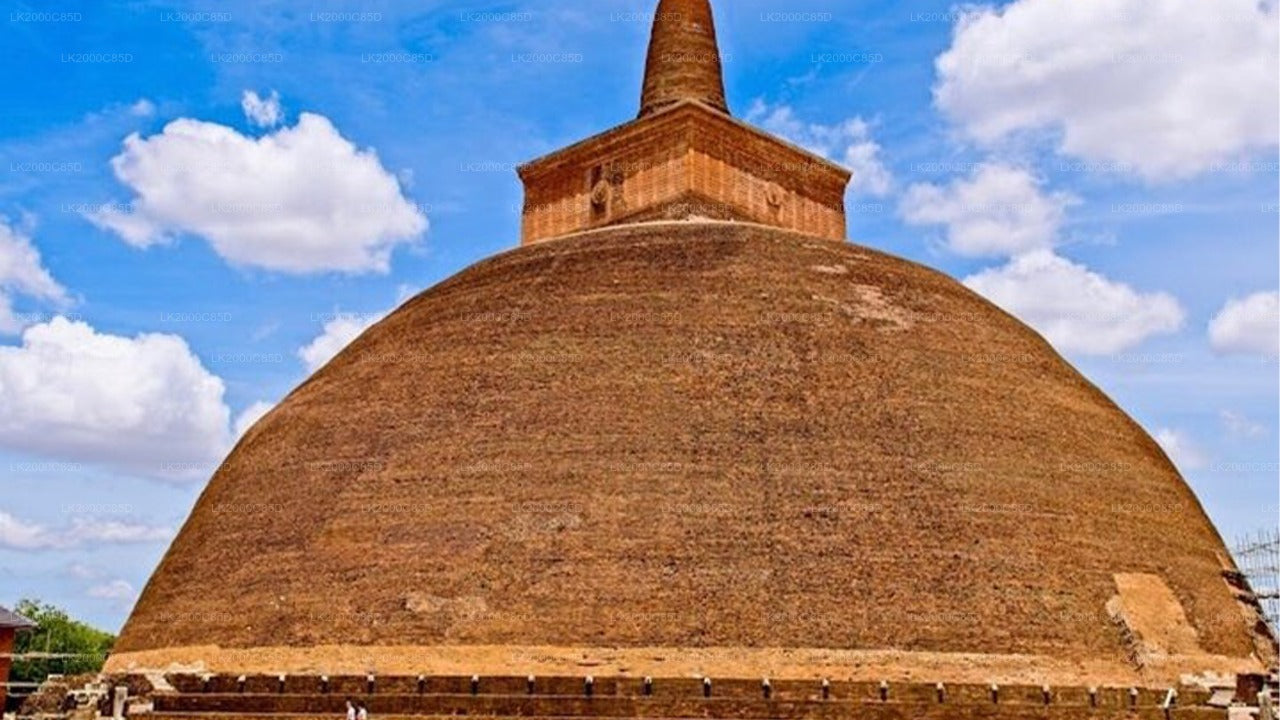 Visite guidée de la zone sacrée d'Anuradhapura avec billets d'entrée