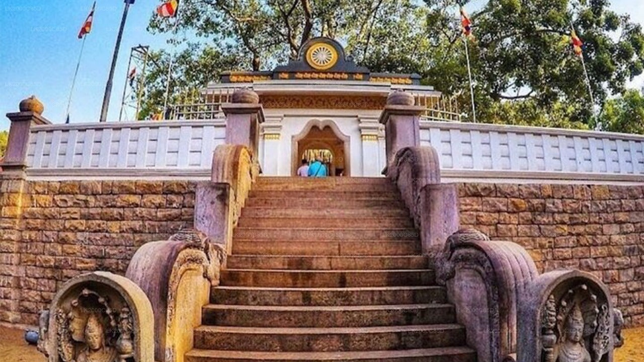 Visite guidée de la zone sacrée d'Anuradhapura avec billets d'entrée