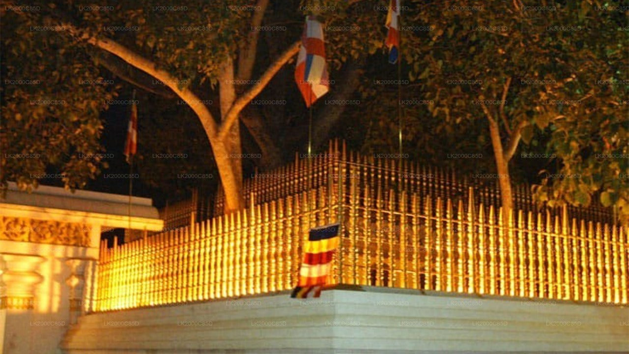 Visite guidée de la zone sacrée d'Anuradhapura avec billets d'entrée