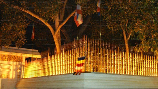 Visite guidée de la zone sacrée d'Anuradhapura avec billets d'entrée