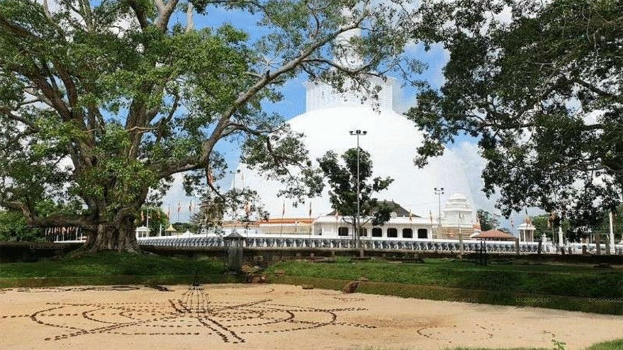 Visite guidée de la zone sacrée d'Anuradhapura avec billets d'entrée