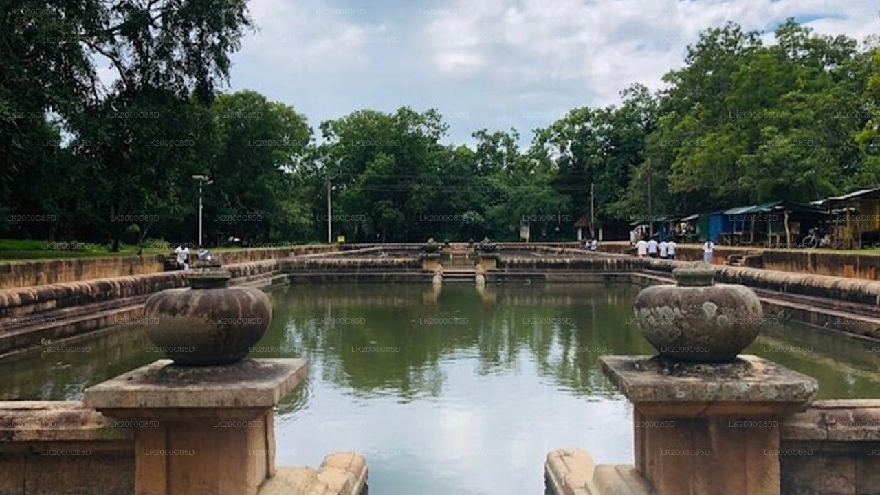 Visite guidée de la zone sacrée d'Anuradhapura avec billets d'entrée