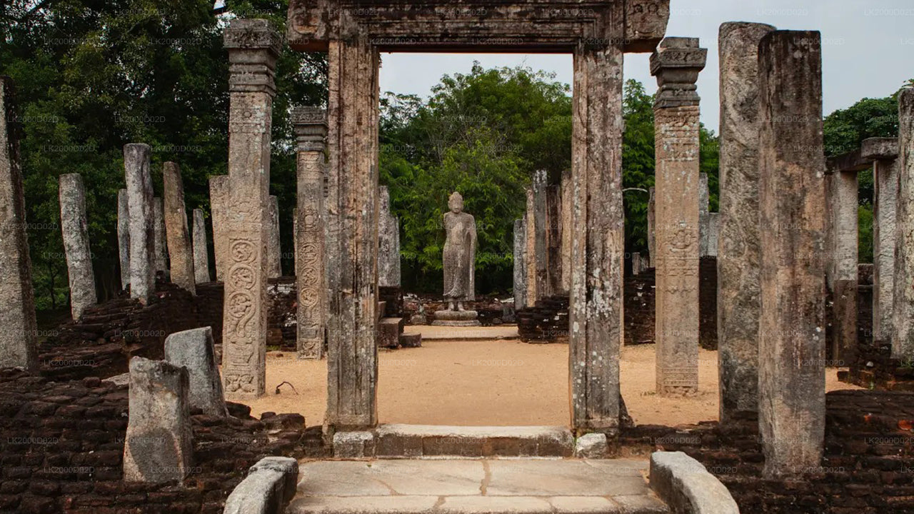 Visite guidée de la vieille ville de Polonnaruwa avec billets d'entrée
