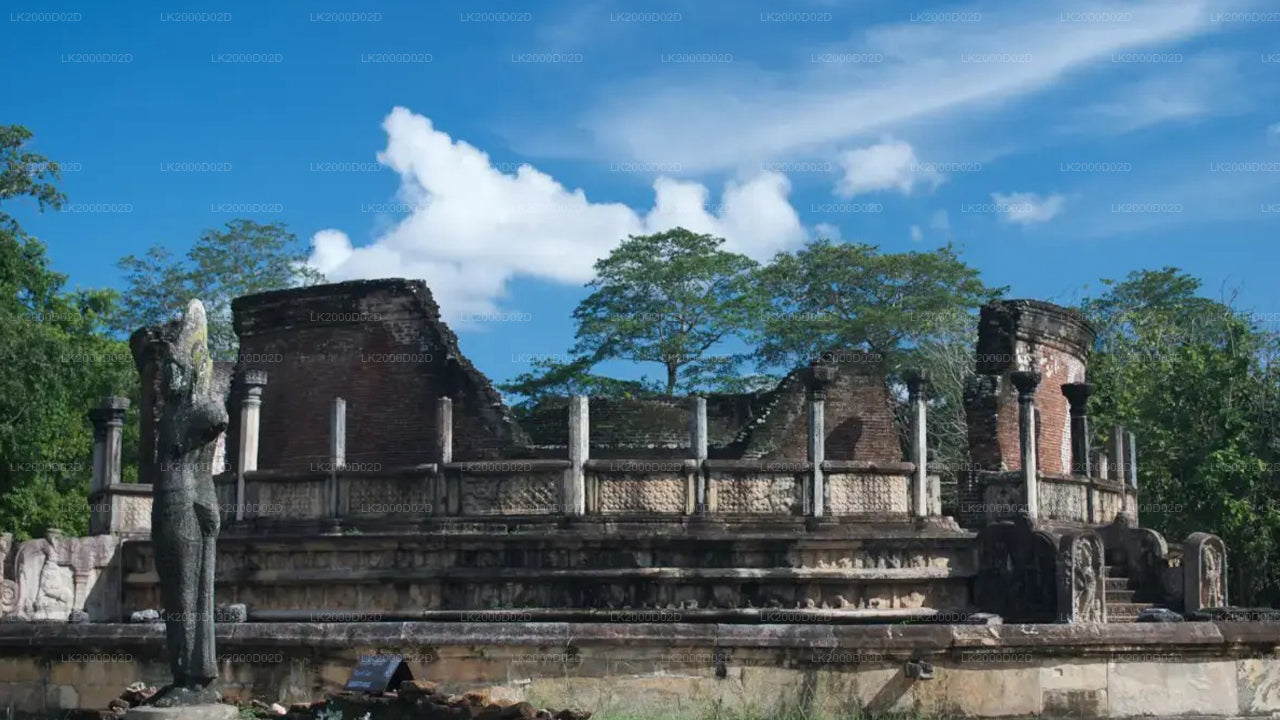 Visite guidée de la vieille ville de Polonnaruwa avec billets d'entrée