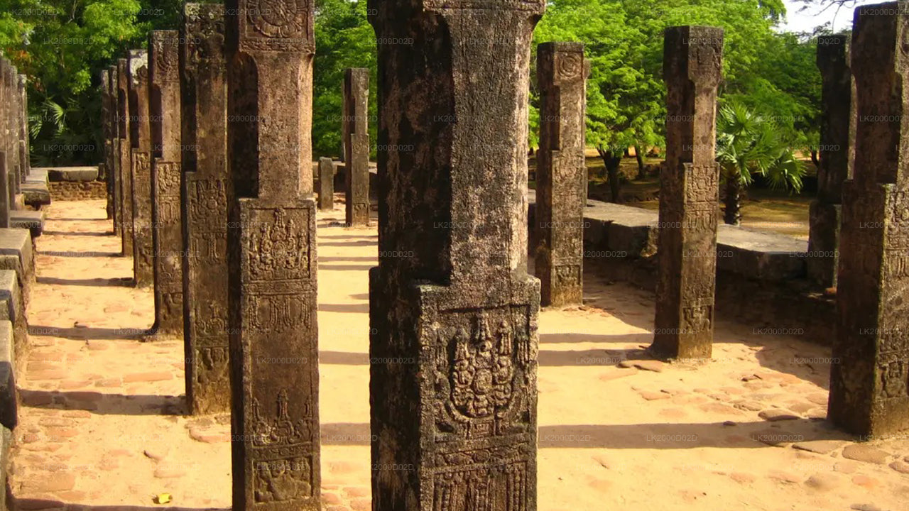 Visite guidée de la vieille ville de Polonnaruwa avec billets d'entrée