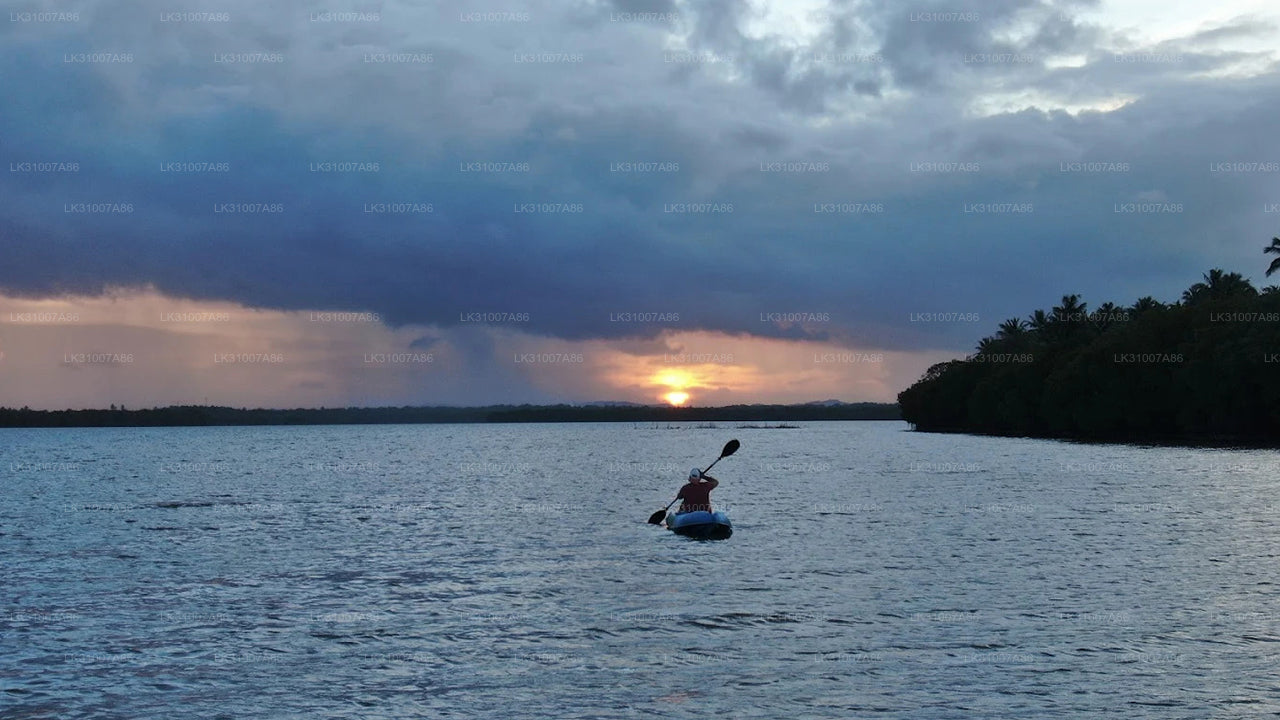 Excursion en kayak sur le lagon au départ de Negombo