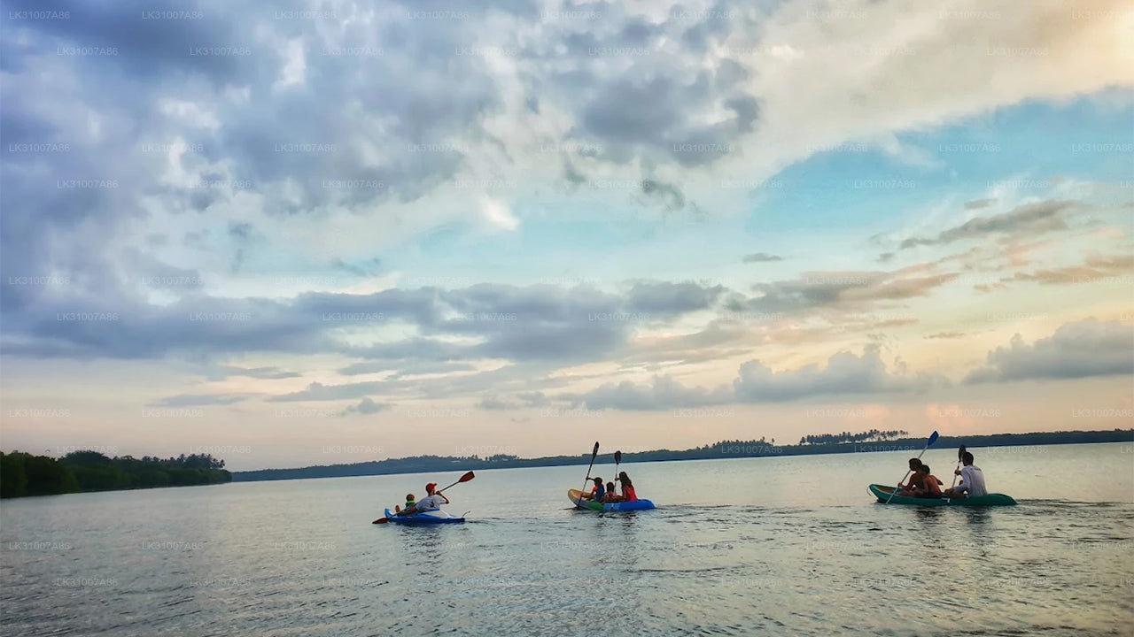 Excursion en kayak sur le lagon au départ de Negombo