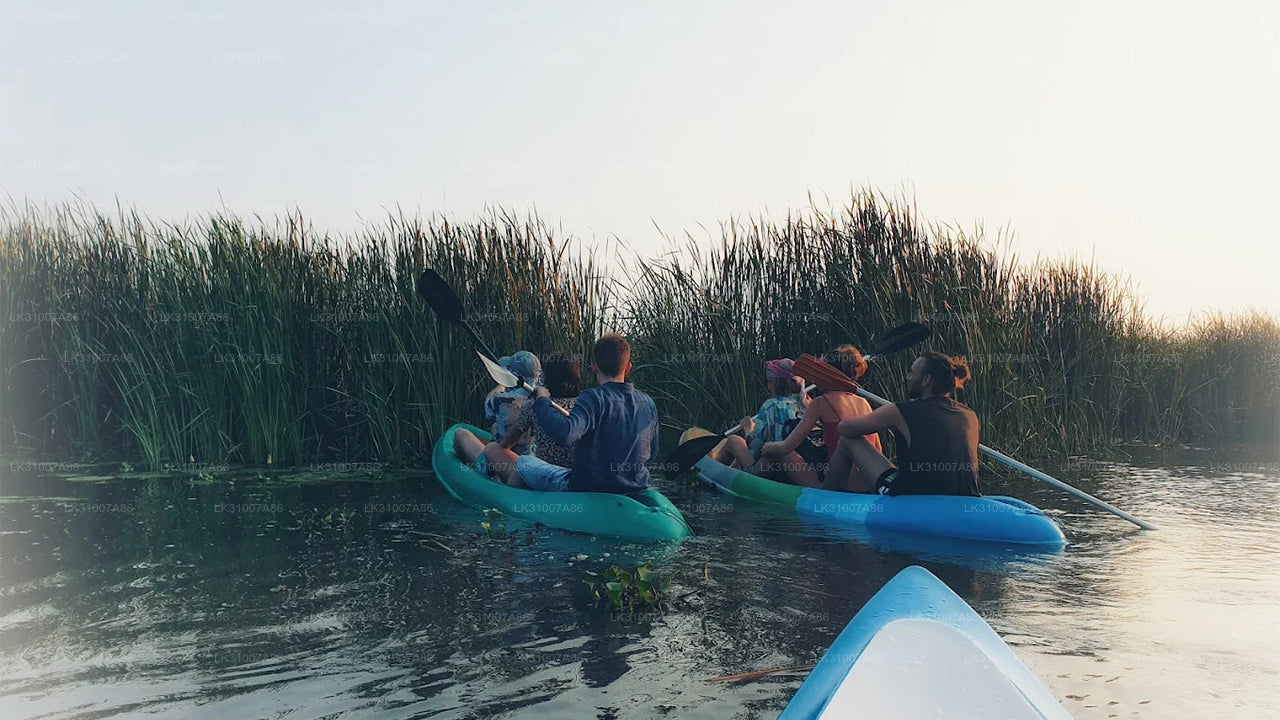 Excursion en kayak sur le lagon au départ de Negombo