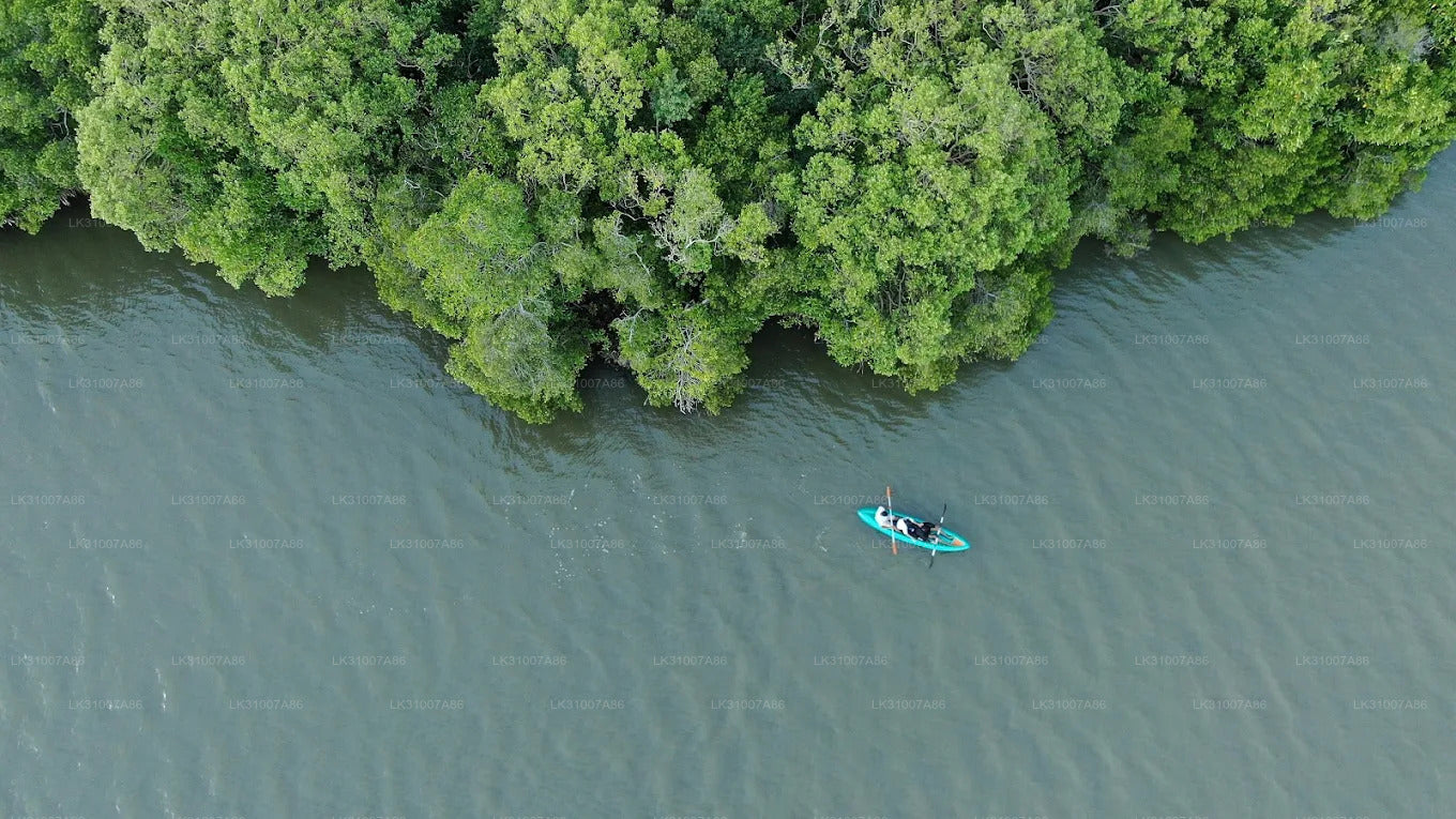 Excursion en kayak sur le lagon au départ de Negombo