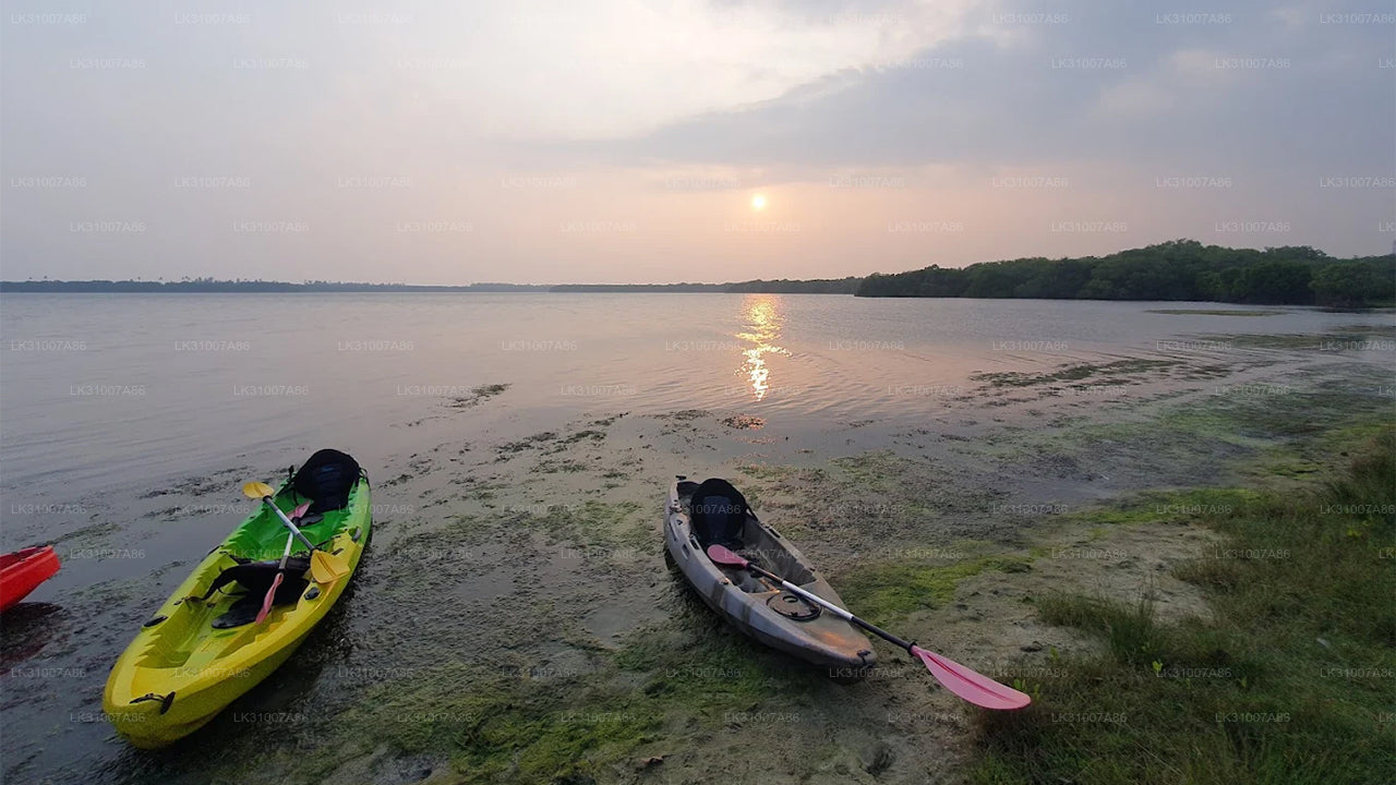 Excursion en kayak sur le lagon au départ de Negombo