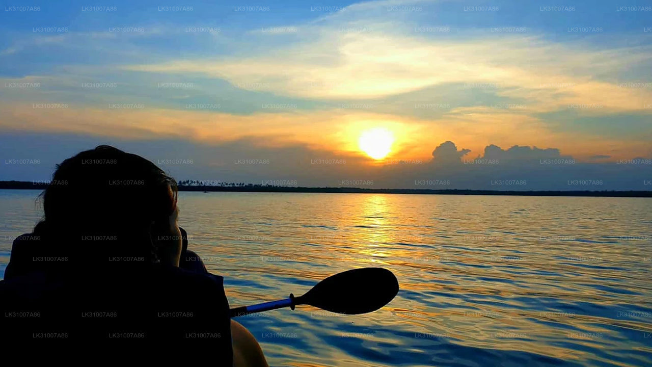 Excursion en kayak sur le lagon au départ de Negombo