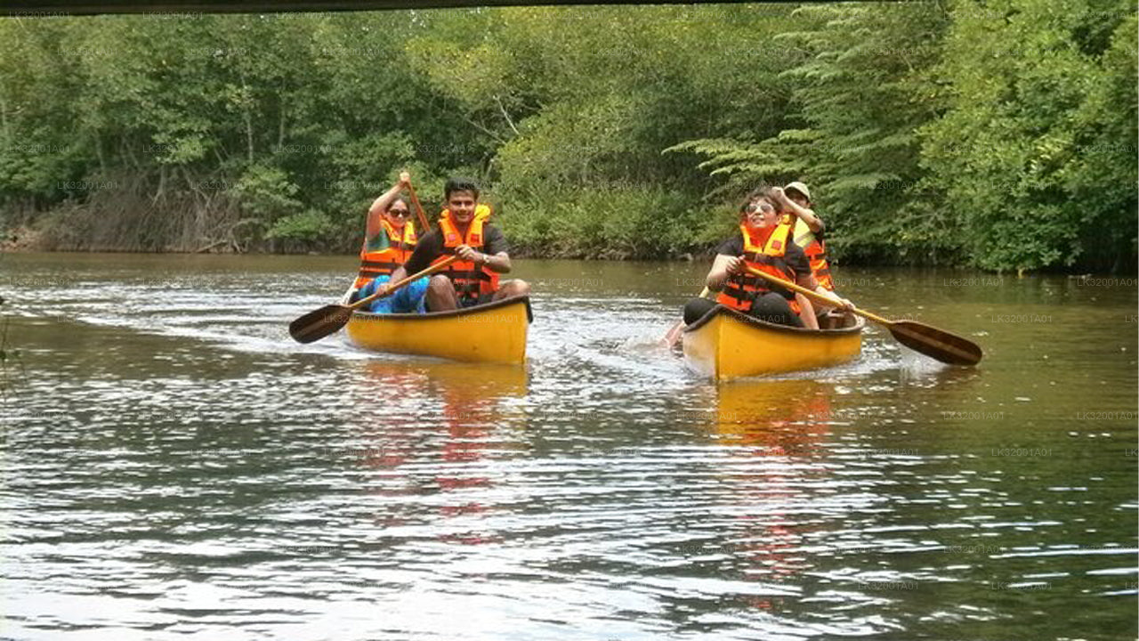 Lagoon Canoeing from Galle